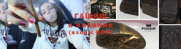 ECSTASY Алзамай