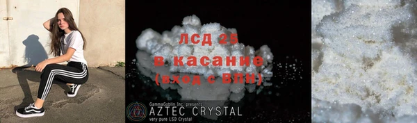 ECSTASY Алзамай