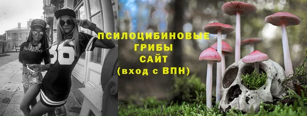 гидра Алексеевка