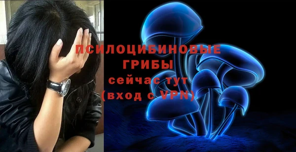 мяу мяу кристалл Нягань
