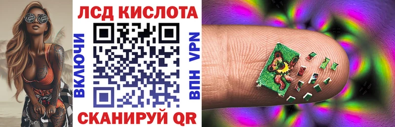Наркотические марки 1,5мг  блэк спрут tor  Аргун 