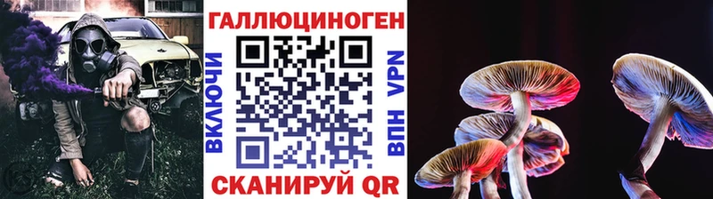 Псилоцибиновые грибы ЛСД  Аргун 